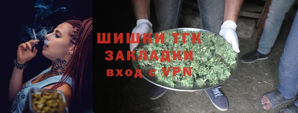 тгк Аркадак