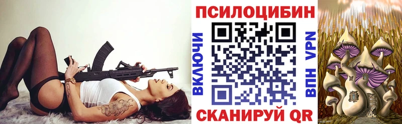 Галлюциногенные грибы Psilocybine cubensis  Усинск 